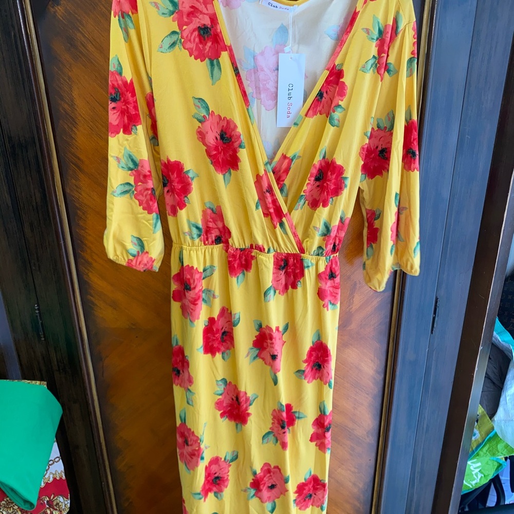 Club Soda Maxi Dress
